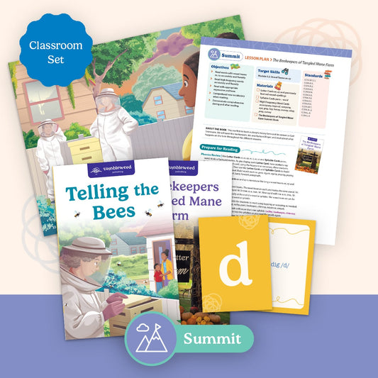 Summit Classroom Set