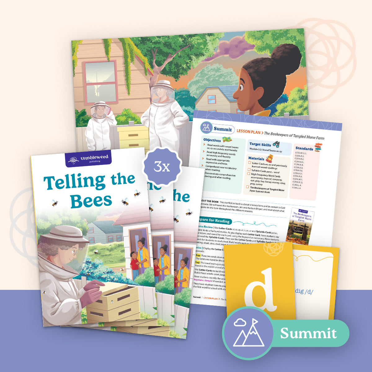 Summit 3-Copy Set