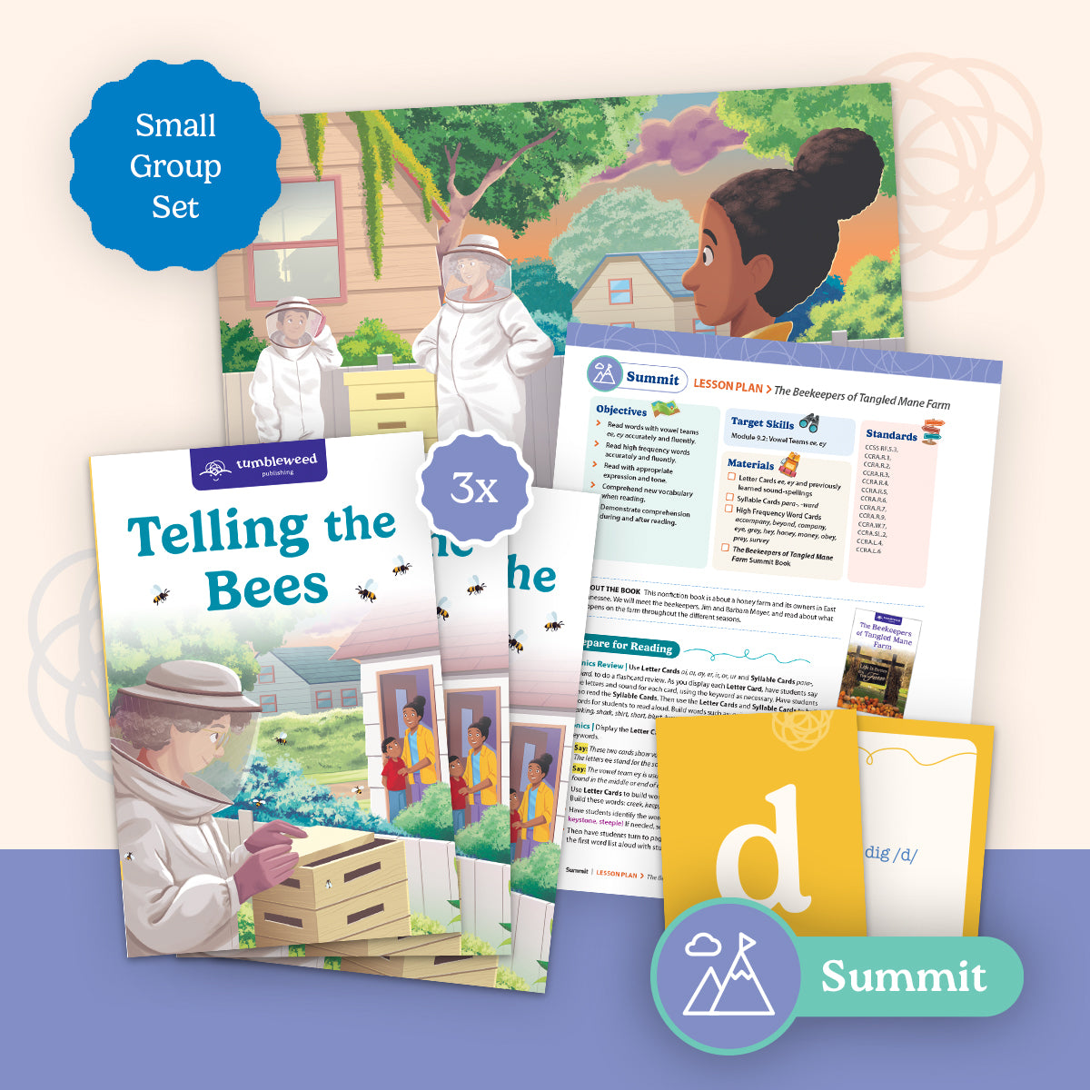 Summit Small Group Set