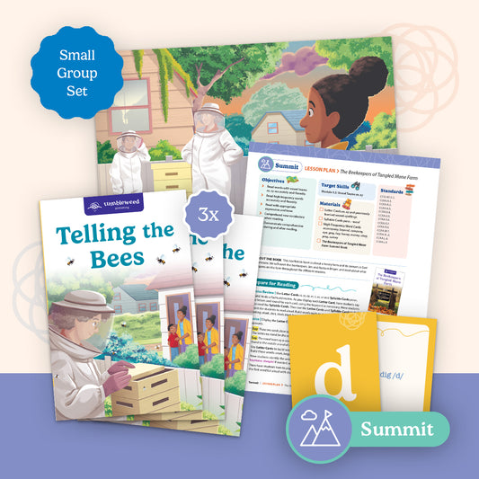 Summit Small Group Set